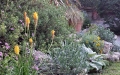 giardino espostivio_particolare