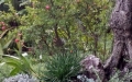giardino espositivo_particolare