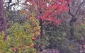 autunno