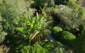 giardino-espositivo-1_0