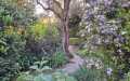 giardinoespositivo1