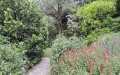giardinoespositivo2