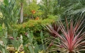 vista-_giardino
