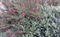 20140318_173902