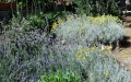 20140617_100836