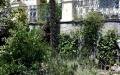 20140618_121811