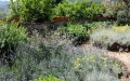 20140618_121904