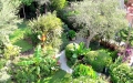 il-mio-giardino-tropicale
