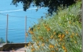 scorcio-sul-mare