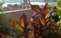 terrazzolerici