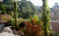 terrazzolerici_3
